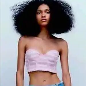 Zara Tweed Corset Bustier Crop Top Strapless Sweetheart Neckline Small NWT